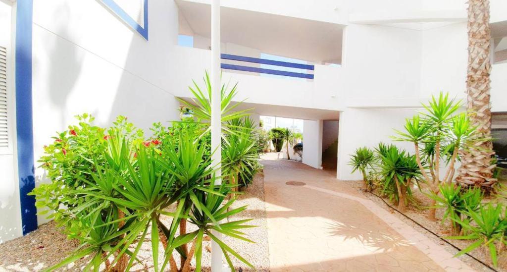 Apartment With Sea Views In Las Terrazas/Playa Flamenca Dehesa de Campoamor  Экстерьер фото